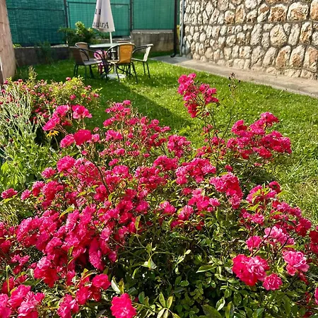 Nora Sarajevo