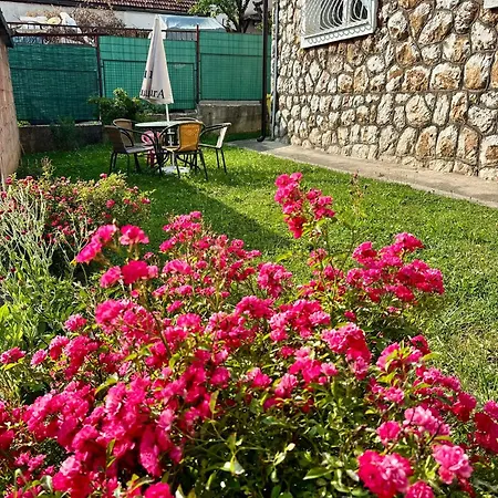 Nora Apartment